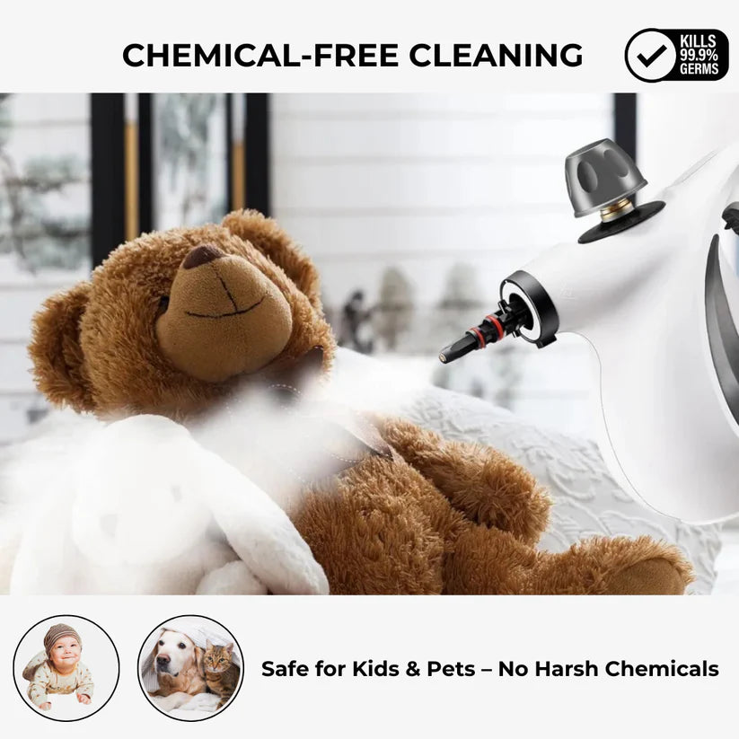Handheld Steam Disinfection Cleaner