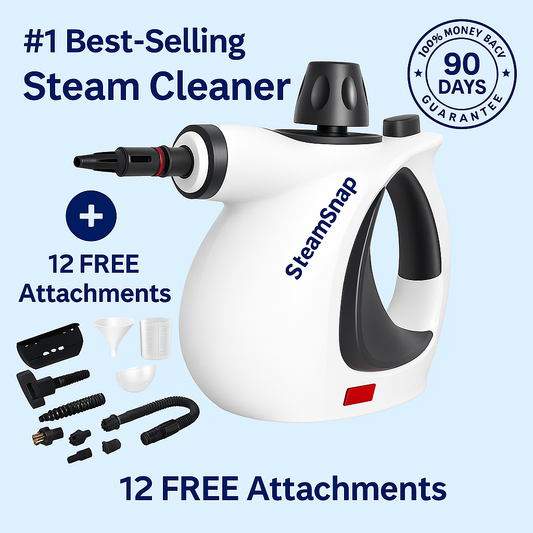 Handheld Steam Disinfection Cleaner